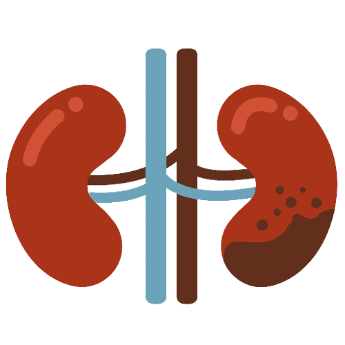Chronic Kidney Disease