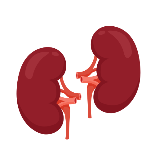 Acute Kidney Failure